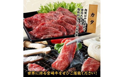 宮崎牛 焼肉 食べ比べ 3種盛 300g【 肉 牛肉 国産 宮崎県産 黒毛和牛 和牛 焼肉 バーベキュー 】[D11416]