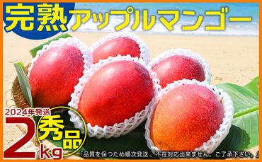 農園一番人気の完熟アップルマンゴー　秀品・約2kg【2024年発送】農園から直送！