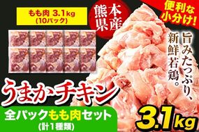 鶏肉 大容量 小分け うまかチキン 全パックもも肉セット(計1種類) 合計3.1kg 冷凍 小分け《1-5営業日以内に出荷予定(土日祝除く)》熊本県 氷川町 鶏もも肉 若鶏 鶏肉---hkw_feumaka_24_12500_3100g_s---