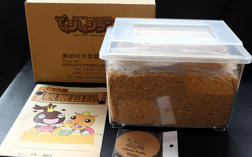 【 2026年発送分 5月31日（日）23:59:00 決済完了分まで！】 カブトムシ 幼虫 観察セット 自由研究 昆虫 成虫 生体 虫 飼育 夏休み 自然 環境 子供 孫 プレゼント 贈答 福島県 田村市 田村 ムシムシランド N002-003