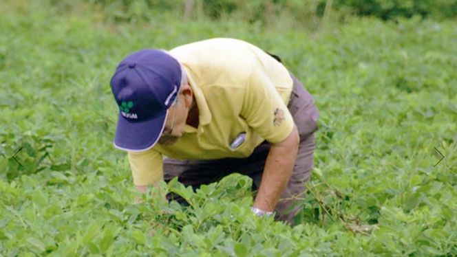 からいり 落花生 2種 3袋 詰合せ ( 化粧箱入 ) 野菜 豆 特産品 農園 自家栽培 ピーナッツ ピーナツ 源太豆 ふる里の味 おつまみ ビールのお供 国産 茨城 ギフト 贈答用 [AD013us]