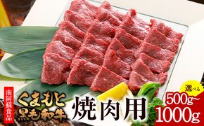 くまもと黒毛和牛 焼肉用 500g 1000g《90日以内に出荷予定(土日祝除く)》 南阿蘇食品---sms_fkmkgyk_90d_23_20000_500g---