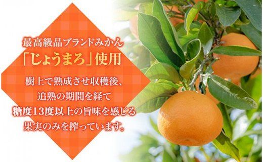 本格超熟成みかんジュース　ストレート１００％無添加【じょうまろノーブル７２０ｍｌｘ3本】K008