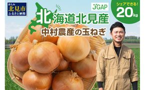 【予約：2024年9月下旬から順次発送】北海道北見産 玉ねぎ 20kg ( 玉ねぎ 野菜 たまねぎ タマネギ 玉葱 甘い 20キロ ハンバーグ 肉じゃが ふるさと納税 玉ねぎ )【002-0005-2024】