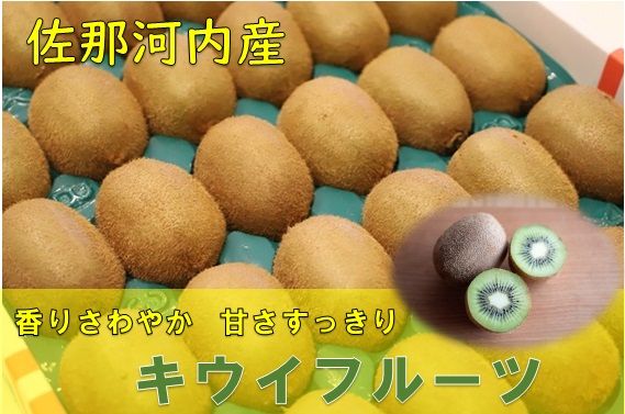 【CF】香りさわやか・甘さすっきり　佐那河内産キウイフルーツ　1箱(33玉入り)　《1月上旬-3月中旬頃発送》 配送不可地域あり ※離島 ---sanagouchi_hss_10_33k---