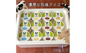 【北海道産搾りたて生乳使用】ひらかわ牧場のアイスクリーム 大人気の4種24個セット フレッシュミルク バニラ チョコ キャラメルクランチ デザート スイーツ お取り寄せ ギフト せたな町 ふるさと納税