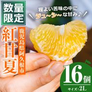 ＜先行予約受付中！2025年3月中旬以降発送予定＞数量限定！鹿児島県産紅甘夏(16個・2L)柑橘 フルーツ 果物 国産 みかん 期間限定【株式会社イロドリ】a-10-44-z