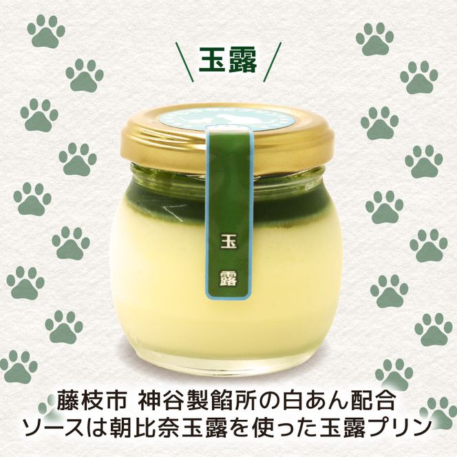 yÉ}szv ʘI v  6Zbgَq fU[g XC[c    mَq J    É }s