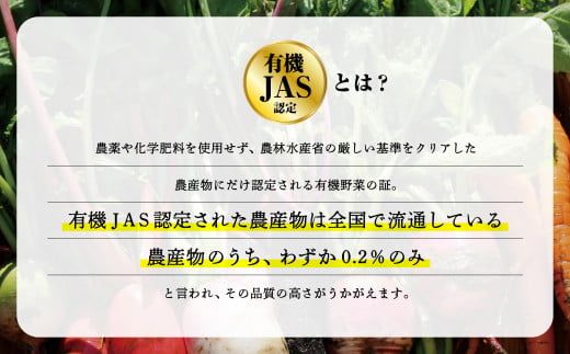 【有機JAS認定サラダ野菜】西田農園　季節の野菜詰合せ　Bセット 017002