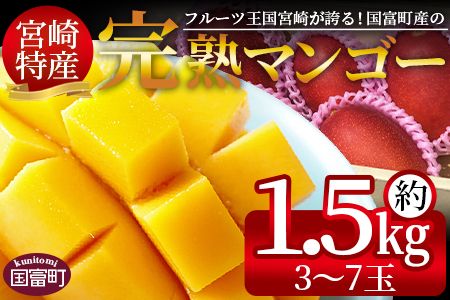 ＜宮崎特産！国富町産の完熟マンゴー 3～7玉（約1.5kg）＞2026年3月下旬～6月下旬迄に順次出荷【a0591_as】