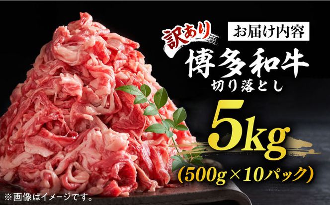 【訳あり】博多和牛 切り落とし 5kg(500g×10p）《築上町》【株式会社MEAT PLUS】[ABBP066]