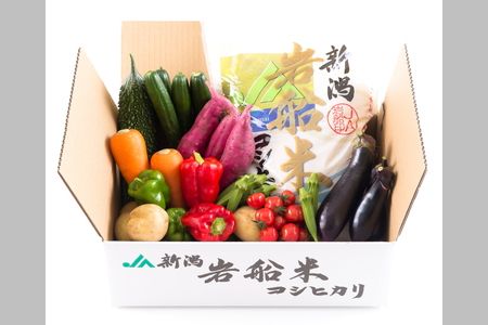 B4026 【令和5年産米】新潟県岩船米コシヒカリと季節の野菜セット②
