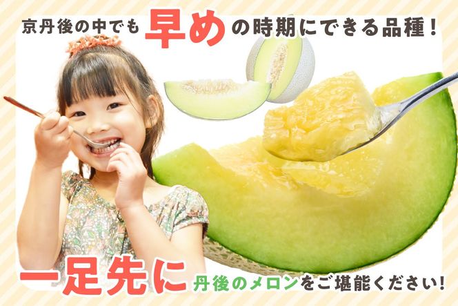 【先行予約／数量限定100】ゆめろんファームの青肉メロン（訳あり品）（2026年6月上旬～発送）　DE00156
