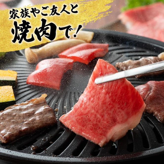 【6ヶ月定期便】 宮崎牛用途別便A【肉 牛肉 国産 宮崎県産 宮崎牛 黒毛和牛 和牛 焼肉 BBQ ステーキ すき焼き しゃぶしゃぶ 焼きしゃぶ 4等級  A4ランク 肩ロース ウデ モモ E11130】