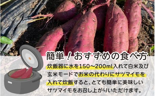 【先行予約】 サツマイモ（紅はるか）サイズ不揃いの訳あり（M～2L）約6kg ※10月下旬から順次発送予定