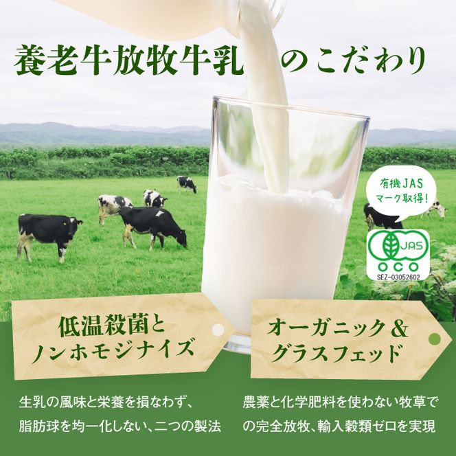 養老牛放牧牛乳使用エシカル・プリン×6個【13013】