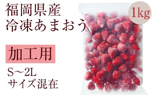 冷凍いちご 「博多あまおう」 1kg【やまや】_HA1707