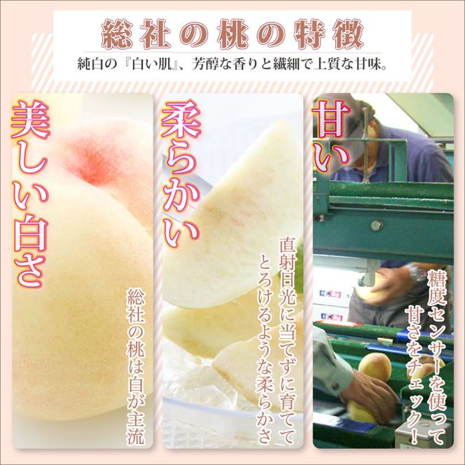 白桃「白鳳（2kg箱）」岡山県総社市産【2025年産先行予約】25-020-003