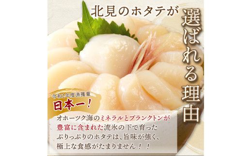 オホーツク名産　帆立貝柱　新品　送料込み　300g 2個セット 2025年8月発送】北海道オホーツク海産 ホタテ貝柱 800g 生食用
