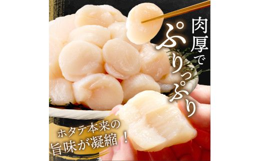 【2026年1月発送】北海道オホーツク海産 ホタテ貝柱 1.2kg 生食用 ( 海鮮 魚介 魚介類 貝 ほたて 刺身 貝柱 海鮮丼 贈答 ギフト 小分け 帆立貝柱 ホタテ )【037-0014】