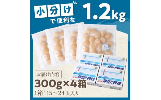 【2026年1月発送】北海道オホーツク海産 ホタテ貝柱 1.2kg 生食用 ( 海鮮 魚介 魚介類 貝 ほたて 刺身 貝柱 海鮮丼 贈答 ギフト 小分け 帆立貝柱 ホタテ )【037-0014】