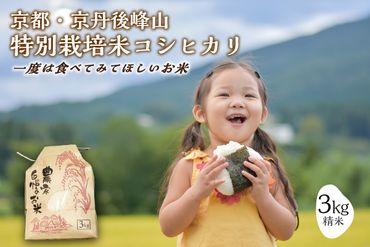 2023年産 京都・京丹後峰山 特別栽培米コシヒカリ 3kg 1等米 検査済証付　MF00001