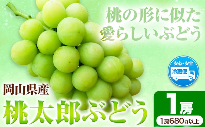 岡山県産桃太郎ぶどう（1房680g以上）1房入り　令和7年産先行受付《9月上旬‐10月中旬頃出荷》【配送不可地域あり】---H-26a---