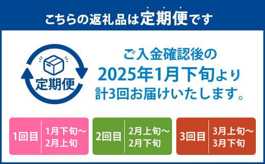 【3回定期便】あまおう （約250～270g×3パック）×3回【2025年1月下旬～3月下旬発送予定】