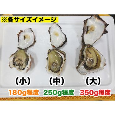 延岡産天然岩牡蠣（生食用）10kg（中）（2024年4月から発送開始）　N036-ZD026