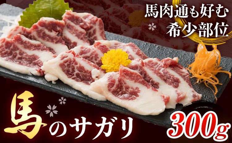 馬のサガリ 300g 桜屋 [30日以内に出荷予定(土日祝除く)] 馬刺し 馬肉 熊本県 大津町 肉 サガリ 送料無料---so_fskrsg_30d_24_15500_300g---