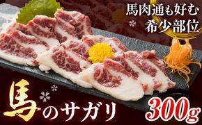 馬のサガリ 300g 桜屋 《30日以内に出荷予定(土日祝除く)》 馬刺し 馬肉 熊本県 大津町 肉 サガリ 送料無料---so_fskrsg_30d_24_15500_300g---