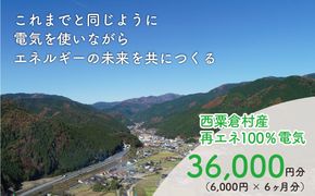 電気料金 （6,000円✕6ヶ月分） 百森でんき CO2フリー 地域電力 お礼の電気 脱炭素 ゼロカーボン 岡山県 西粟倉村 【まずは寄付のお申し込みを！】 e-vv-A04D