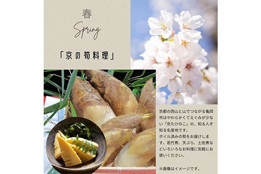 【4回定期便】京都・丹波 四季の味 2～4人前 年4回＜丹波四季菜料理 宮本屋＞京の料亭より四季折々の最高の味をお届け【筍・亀岡牛・松茸・ぼたん鍋】《たけのこ 牛肉 鱧 ハモ 猪肉 ボタン 京野菜》