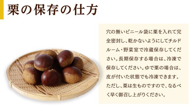 【 吉原農場 の 完熟栗 】 熟成 生栗 1kg 2Lサイズ ・ 焼き栗 2袋 セット 完熟 栗 くり クリ 栗ごはん 贈答 ギフト 果物 フルーツ 数量限定 旬 秋 冬 正月 おせち [CX007ci]