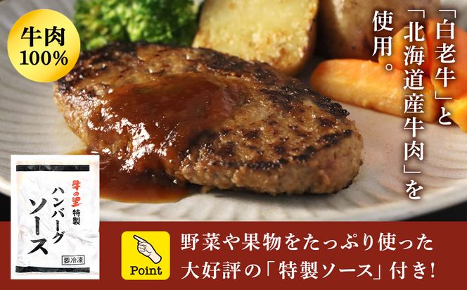 牛の里ビーフハンバーグ（110g×10個） 特製ソース（10袋） の詰合せ AG052