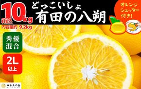 八朔 (はっさく) とにかく 大玉 どっこいしょ 箱込 10kg (内容量約 9.2kg) 秀品 優品 混合 2Lサイズ以上 和歌山県産  産地直送【おまけ付き】【みかんの会】AX230