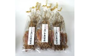 【無添加】北海道産 するめ 62枚セット するめいか 産地直送 ダイエット 炙り おつまみ 海鮮 せたな町 ふるさと納税