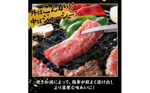 宮崎牛カルビ焼肉・切り落としセット合計800ｇ【 肉 牛肉 国産 黒毛和牛 宮崎牛 焼肉 宮崎県 川南町 】 [D11405]	