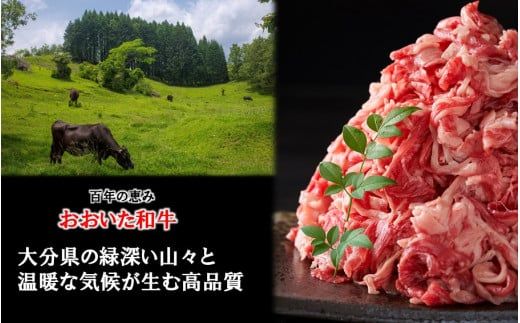 【A4～A5等級】小分けで便利！ おおいた和牛 切り落とし 1kg (250g×4P)_2436R