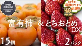 富有柿15個 と とちおとめDX2pk 【令和6年11月より発送開始】（茨城県共通返礼品：石岡市産） 詰め合わせ 果物 フルーツ 茨城県産 [BI459-NT]