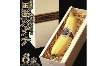 国産バナナNEXT716「6本」レギュラーサイズ【F5806】