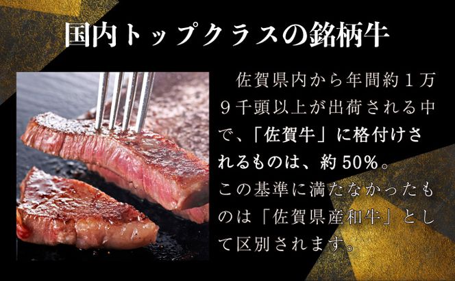 200g 佐賀牛サーロインステーキ B-954