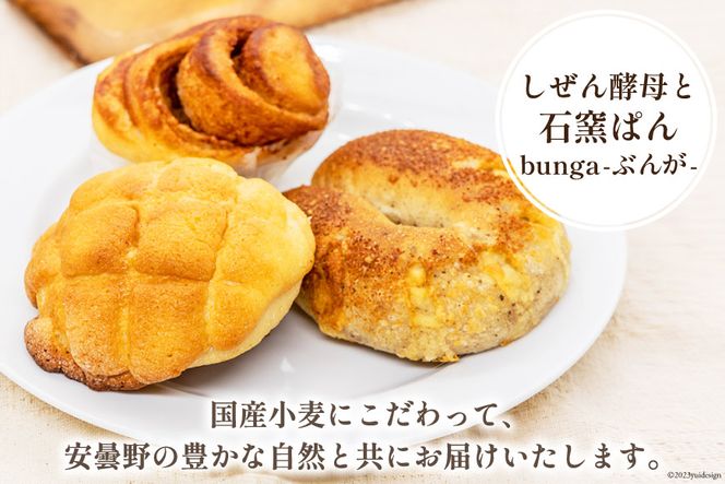 パン ぶんがお試し セット 8個入 [しぜん酵母と石窯ぱん bungaーぶんがー 長野県 池田町 48110557] 手作りパン 天然酵母 自家製酵母 窯焼きパン ハードパン メロンパン ぶどうパン 長野県産