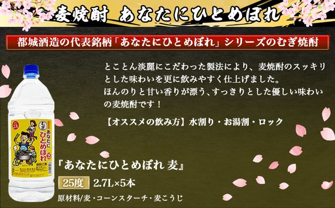 【都城酒造】あなたにひとめぼれ 麦(25度)2.7L×5本 ≪みやこんじょ特急便≫_AF-0790