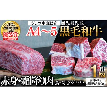 【数量限定】A4・A5等級うしの中山黒毛和牛ブロック赤身(モモorロース 500g)・霜降り肉(バラorカルビ 500g)食べ比べセット合計1kg c0-101