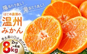 【2024年10月中旬〜発送】こだわりの 温州みかん 約 8kg / みかん フルーツ 柑橘 蜜柑 ミカン / 南島原市 / 長崎県農産品流通合同会社 [SCB037]