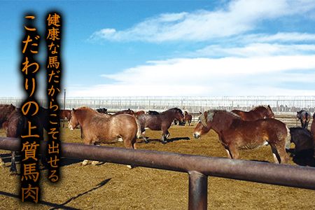 大トロ馬刺し(50g) 中トロ(霜降り)馬刺し(50g) 食べ比べコース【純国産熊本肥育】《30日以内に出荷予定(土日祝除く)》---ng_fjs08_30d_r8_10500---