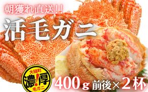 【期間限定3月～4月発送】三陸産三陸活毛ガニ400g×2杯(2尾)【0tsuchi00660】【05】