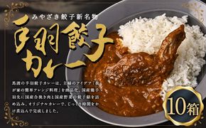 〈 みやざき餃子新名物 手羽餃子カレー 10箱 〉翌月末迄に順次出荷【c1261_mw】 カレー 餃子 ギョウザ ギョーザ 手羽餃子 レトルト 常温保存 餃子の馬渡