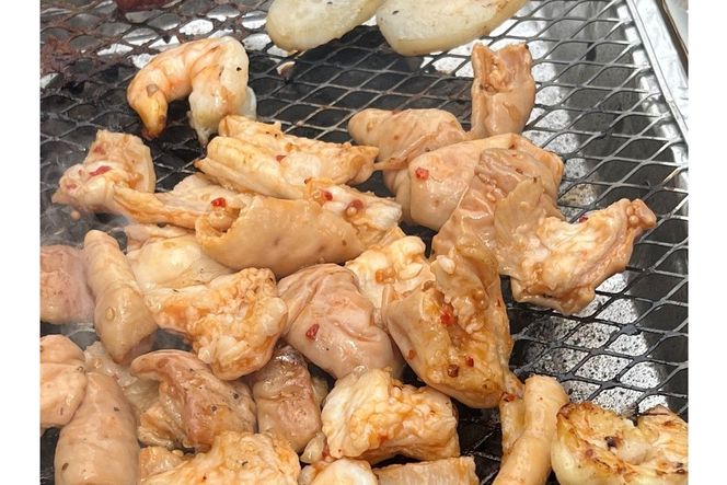 【A5-458】＜なかむら謹製＞【博多和牛】博多和牛ミックスホルモン500g